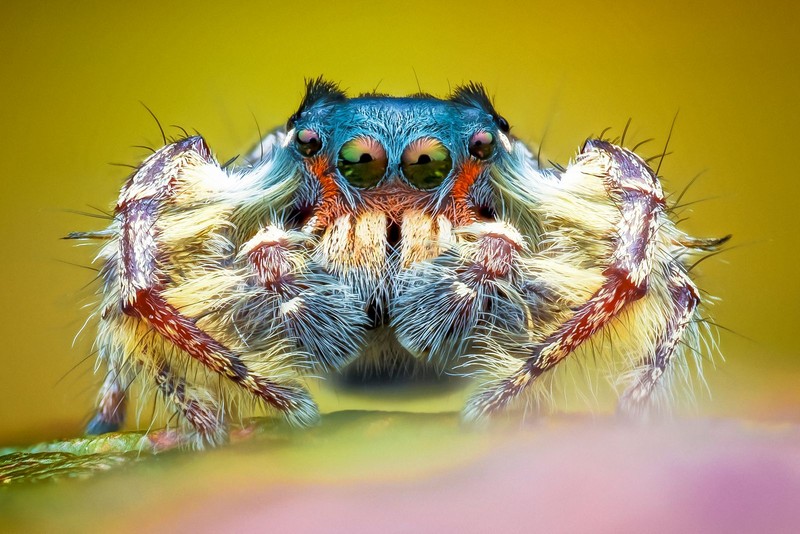 British Photography Awards 2022