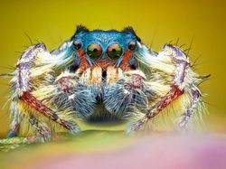 Karya Finalis British Photography Awards 2022 Bikin Terkesima dan Takjub