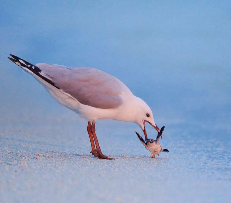 British Photography Awards 2022