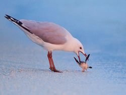 Karya Finalis British Photography Awards 2022 Bikin Terkesima dan Takjub
