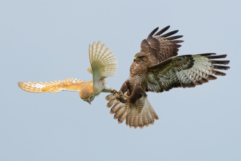 British Photography Awards 2022