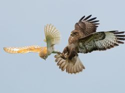 Karya Finalis British Photography Awards 2022 Bikin Terkesima dan Takjub