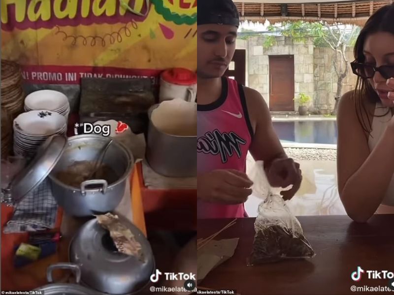 Cicip Daging Buaya dan Monyet di Bali, Model Bule Ini Dikecam