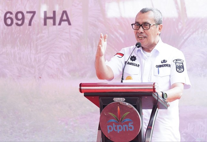 Gubernur Riau Syamsuar