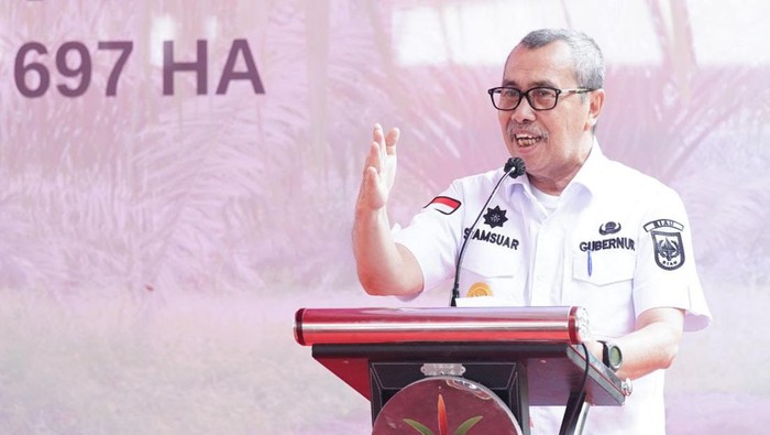 Gubernur Riau Syamsuar