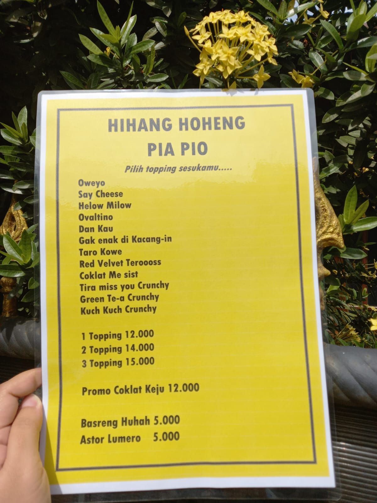 Hihang Hoheng