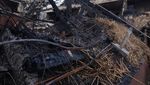 Penampungan Warga Ukraina di Jerman Kebakaran, Begini Kondisinya