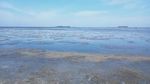 Potret Muramnya Pantai Cemara Karimunjawa gegara Tercemar Limbah