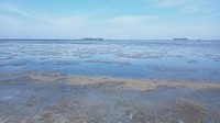 Terpisah dimintai konfirmasi Kepala Balai Taman Nasional Karimunjawa Titi Sudaryanti mengatakan ada 35 hektare tambak di Pulau Karimunjawa. Namun kata dia tidak ada tambak yang berada di kawasan taman nasional. Menurutnya soal tambak merupakan kewenangan dari Pemkab Jepara. Foto: dok. Bambang Jakaria