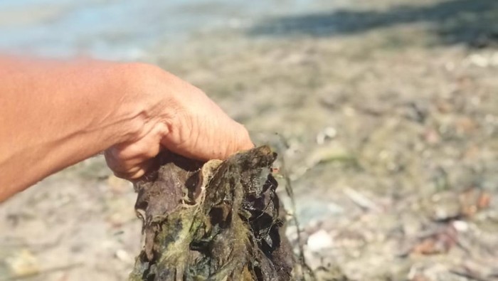 Kondisi Pantai Cemara di Karimunjawa, Kabupaten Jepara yang tercemar limbah sutera, Selasa (25/10/2022).