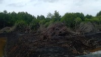 Bang Jack yang juga Ketua BPD Desa Kemojan mengatakan kondisi tersebut berlangsung sekitar tiga tahun lalu. Kondisi tersebut saat ada tambak udang mulai beroperasi. Parahnya, kata dia limbah menghitamkan Pantai Cemara tahun ini. Foto: dok. Bambang Jakaria