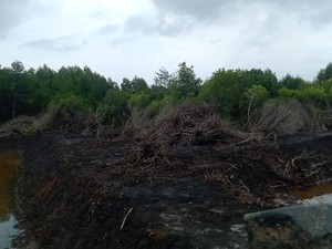 Pantai Cemara Karimunjawa Tercemar, BTNKJ: Diduga Limbah dari Tambak Udang