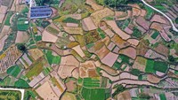 Jika dimomen tanam padi semua terasering berwarna hijau, maka saat fase musim gugur beberapa area persawahan terlihat berwarna kecokelatan.