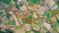 Ini dia lanskap terasering di kawasan Taizhou, Provinsi Zhejiang, China. Foto aerial ini diambil pada, Minggu (23/10/2022).