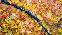 Lanjut, foto drone memperlihatkan warna-warna khas musim gugur lewat dedauan di Gunung Wuhua, Provinsi Jilin. Indah banget.