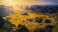 Berikutnya, ada panorama indah dari persawahan di Debao, Guangxi. Musim gugur tiba berbarengan dengan musim panen. Indahnya.
