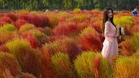 Pertama ada taman situs arkeolog di kawasan Xian dengan warna musim gugur yang khas. Foto ini diambil pada 13 September 2022 lalu.