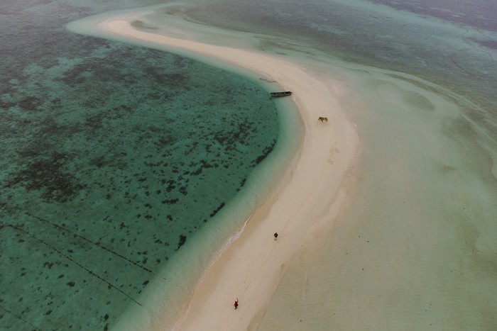 Sekelompok bulung pelikan berkumpul di pasir timbul Ngurtavur, Kabupaten Maluku Tenggara, Provinsi Maluku, Selasa (25/10/2022). Ngurtavur adalah pasir timbul yang muncul setiap terjadi air laut surut jauh atau warga setempat menyebutnya meti, sehingga berbentuk seperti pulau kecil yang dijadikan persinggahan burung pelikan dari Australia dan juga objek wisata terkenal di Maluku Tenggara. ANTARA FOTO/FB Anggoro/foc.