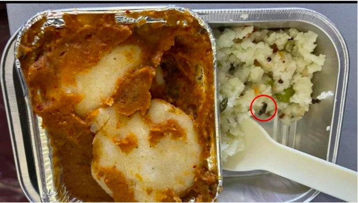 Penumpang nemu kecoak di makanan pesawat