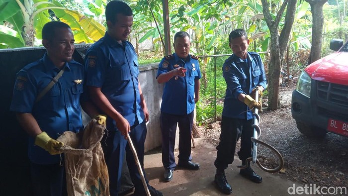 Petugas Damkar mengevakuasi seekor ular dari sela-sela tempat tidur warga.