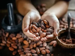 7 Rahasia di Balik Sejarah Makanan , Ada yang Dibuat Untuk Masturbasi!