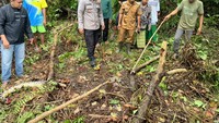 Polisi dan warga saat menemukan ular yang memangsa manusia. Dari perut ular itu ditemukan jasad wanita yang masih utuh.