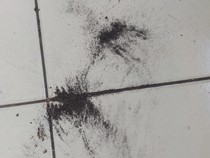 Sering Jadi Sarang Debu, 6 Tempat Ini Harus Sering Dibersihkan!