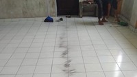Pada tanggal 21 Oktober 2022 telah terjadi kembali pencemaran debu batu bara di wilayah rusunawa Marunda dan sekitarnya, kata Pengurus Forum Masyarakat Rusunawa Marunda (FMRM) Cecep Supriadi kepada detikcom (dok Istimewa)