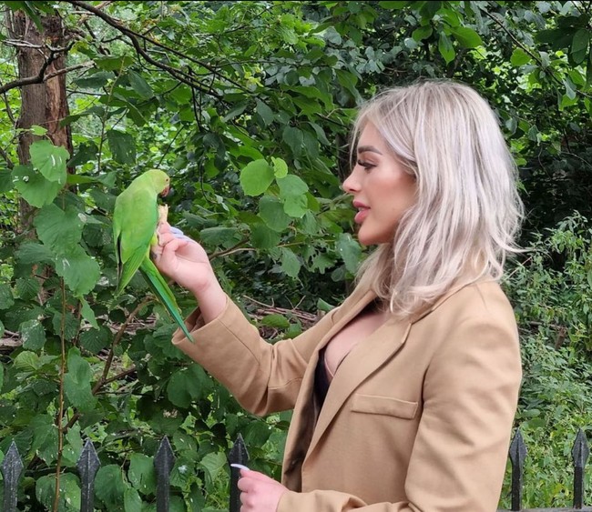 Model berambut pirang ini juga pernah menjalani Brazilian Butt Lift, prosedur bedah untuk membesarkan bokong, dilakukan dengan mentransfer lemak dari bagian tubuh lain dan memasukkannya ke bokong. Operasi plastik ini disebut salah satu pembedahan yang paling berbahaya dan mengancam nyawa. Foto: Instagram/@polish.99 dan TikTok