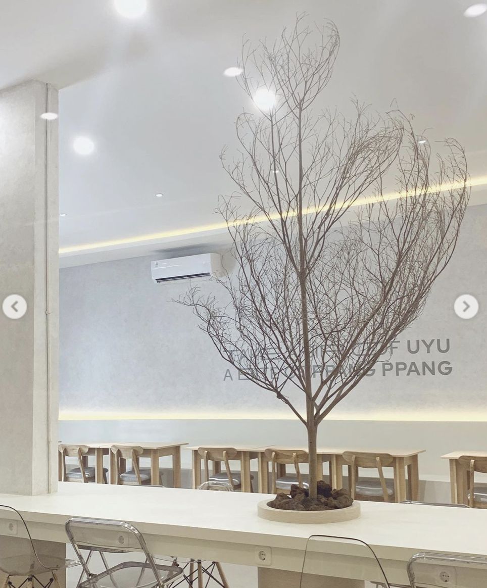 Cantik Minimalis! Ini 5 Kafe Dessert Korea Estetik di Jakarta