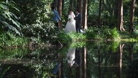 Pesona danau yang kaya akan sejarah ini lah yang membuat West Lake sering dikunjungi wisatawan.  