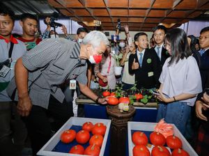 Ganjar Yakin Petani Milenial Jateng Bisa Wujudkan Kedaulatan Pangan