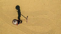 Lanskap ini terlihat lebih menarik saat dijepret menggunakan drone sehingga menghasilkan motif unik.