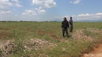 Pemkab Subang tentunya mendukung akan rencana dari Kementerian BUMN tersebut. Namun, tentunya masyarakat Subang maupun Pemkab Subang itu sendiri meminta dilibatkan dalam pemindahan hal kawasan Pulogadung ke Subang.Foto: Dwiky Maulana Velayati/detikJabar