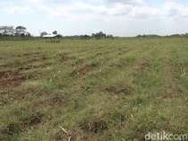 Penjualan Lahan Industri Laris Manis, Ternyata Gara-gara Ini