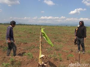 Kawasan Industri Pulogadung Mau Dipindah ke Subang, Ini Lokasinya