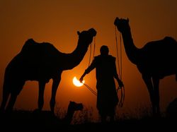 Penampakan Gerhana Matahari Terakhir 2022 di Berbagai Negara