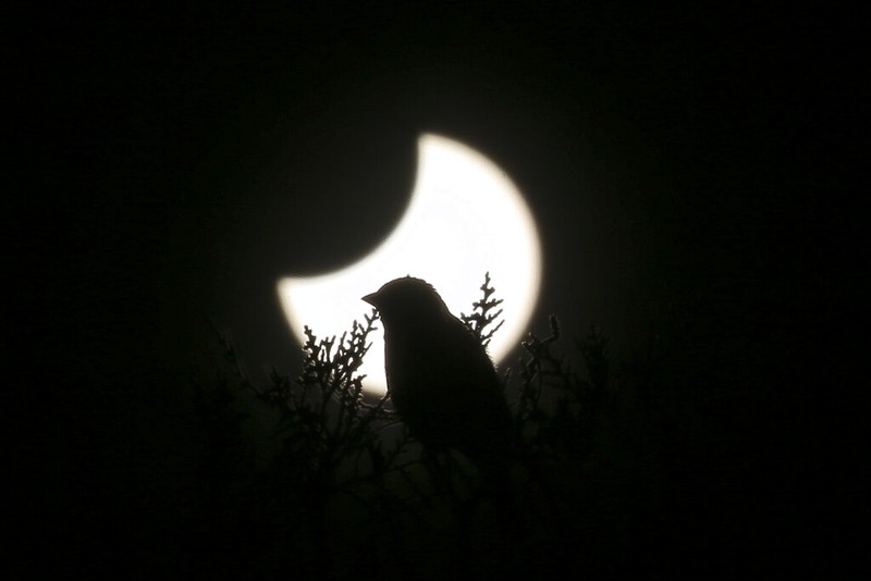 The moon blocks part of the sun during a partial solar eclipse in downtown Beirut, Lebanon, Tuesday, Oct. 25, 2022. (AP Photo/Hassan Ammar)