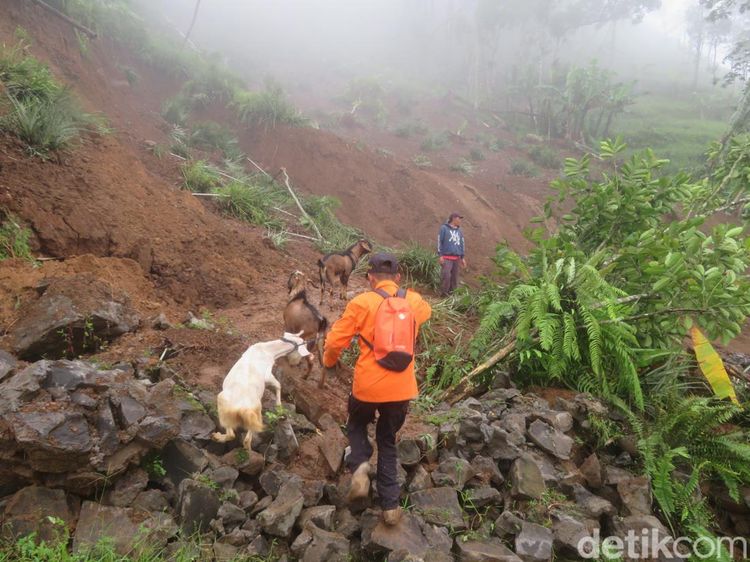 Ngerinya Longsor Siwarak Purbalingga Bikin Puluhan Rumah Terancam Hilang