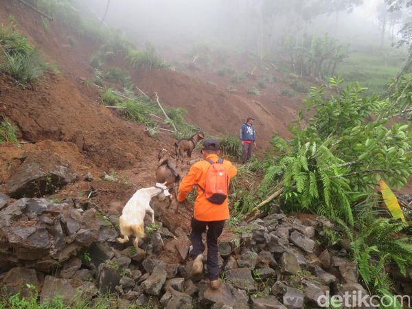 Ngerinya Longsor Siwarak Purbalingga Bikin Puluhan Rumah Terancam Hilang
