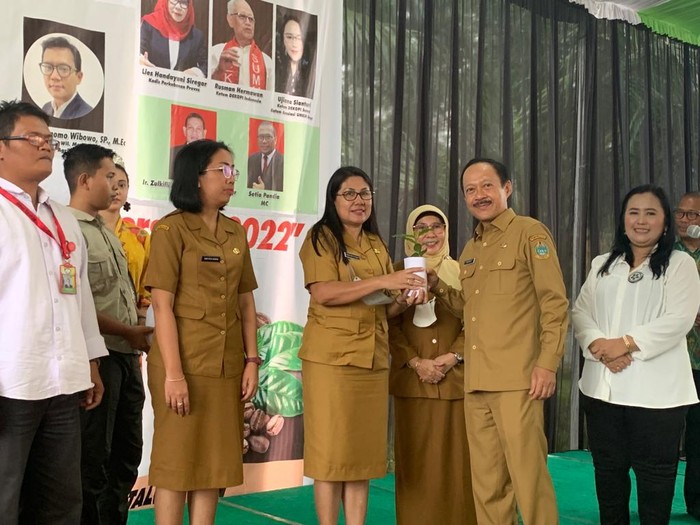 Pemberian secara simbolis bibit kopi. Kartika Sari/detikSumut