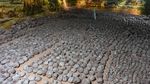 Museum di China Pamer 20 Ribu Fosil Telur Dinosaurus, Ada yang Isi Kristal