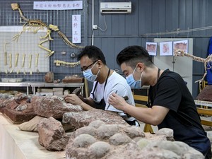 Jejak Zaman Jurassic: Mengapa Fosil Dinosaurus Sering Ditemukan di China?