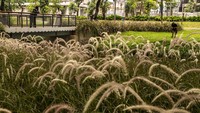 Ruang terbuka ini dapat digunakan sebagai ruang ketiga yang merupakan tempat untuk memberikan sarana alternatif bagi warga setelah ruang pertama yakni rumah dan ruang kedua yakni tempat kerja atau belajar.