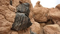 Batu vulkanik ini dihargai oleh penduduk asli Amerika selama ribuan tahun untuk membuat mata panah dan ujung tombak serta untuk berdagang dengan suku lain. (David McNew/Getty Images)