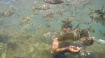 Bukan Laut, Ini Sungai di Padang Pariaman yang Airnya Jernih Banget