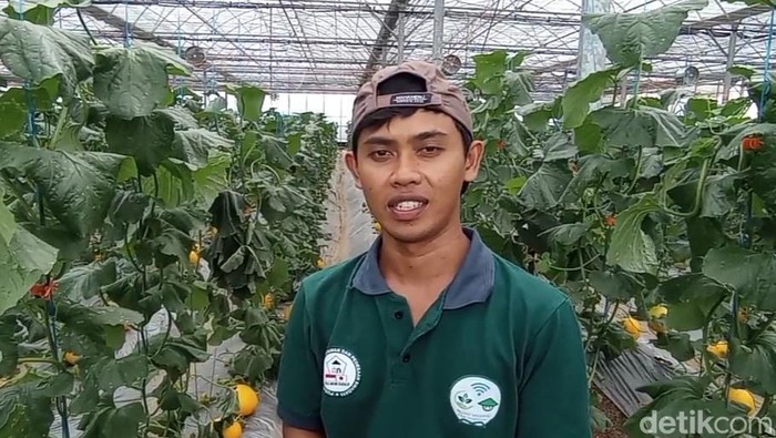 Dadan Ridwan, petani milenial asal Kota Tasikmalaya.