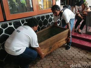 Tim Panji Petualang Akhirnya Evakuasi King Kobra yang Tewaskan Tuannya