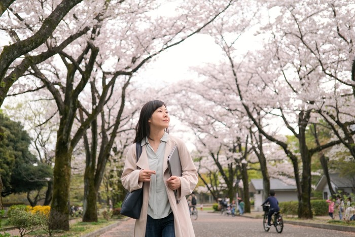 Asian mid-adult businesswoman relaxing and working in the tree area of Springtime