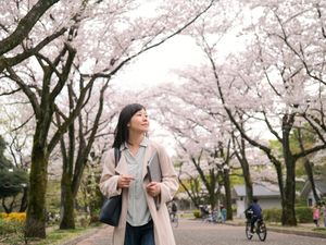 Beasiswa S1 Jepang 2023 dari Mitsui-Bussan, Simak Jadwal & Prodinya!